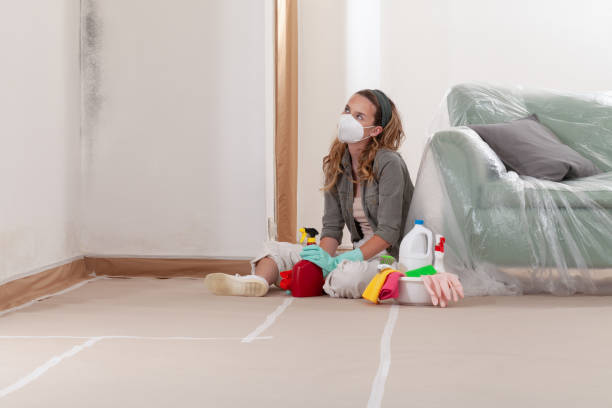 Reliable Mold Remediation contractor in Spring Park, MN by WQB Mold Removal
